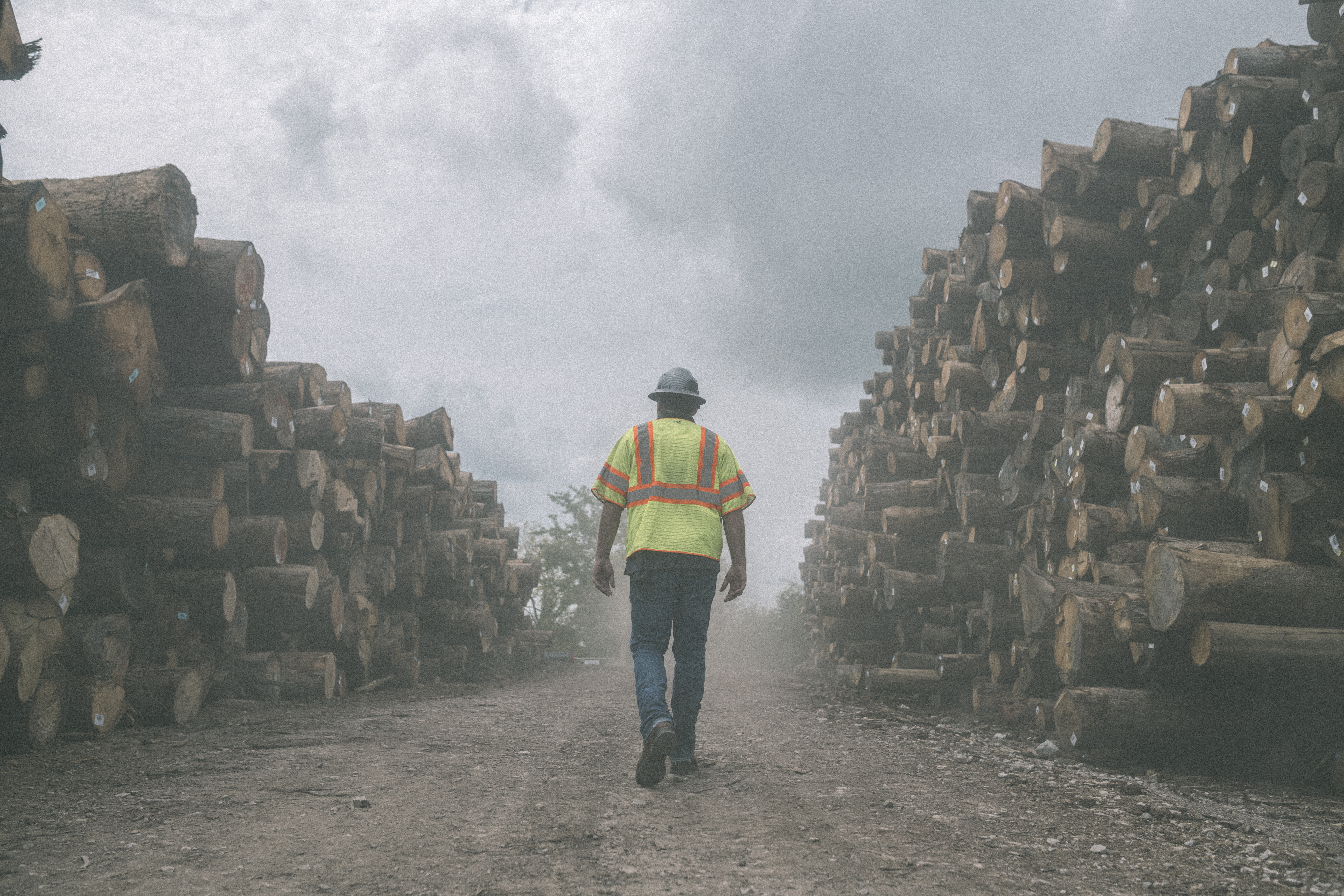 Wolverine field lifestyle image